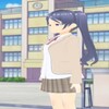 鸽报